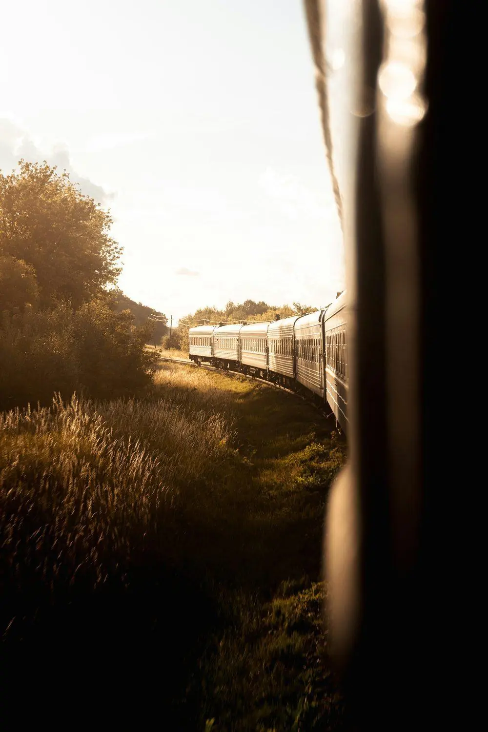 A long train curves along the track in warm evening light, seen from a window with tall grass and trees beside the line.