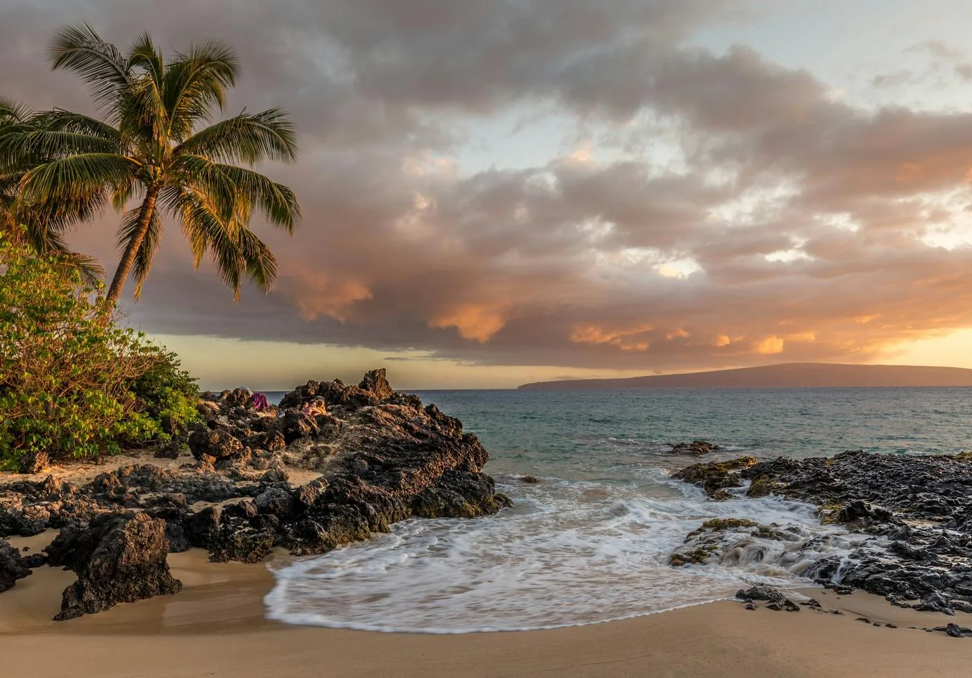 Palm tree over a lava rock cove at sunset, Kihei, Maui, Hawaii