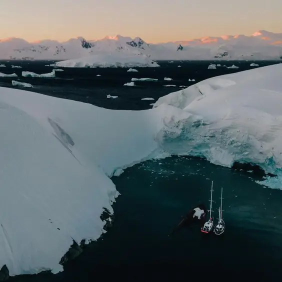 Antarctica